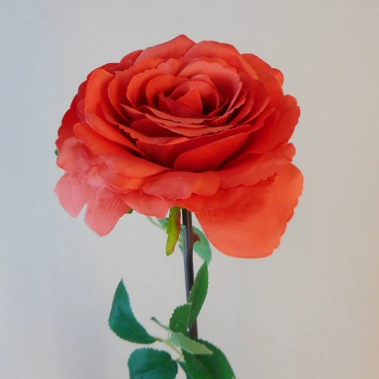 Artificial Roses Dark Coral 74cm - R021 N3