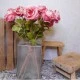 Roses Miss Havisham Dark Pink 64cm - R524 M2