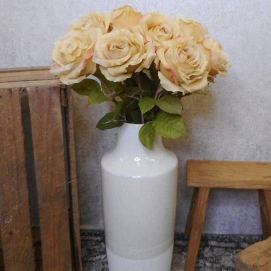 Roses Miss Havisham Warm Cream 64cm - R517 M2