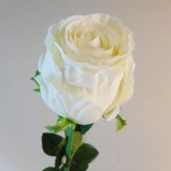 Belgravia Rose Cream 71cm - R033 L3