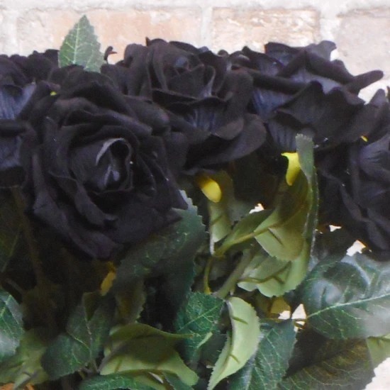 Black Velvet Rose 47cm - R319 O1