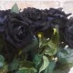 Black Velvet Rose 47cm - R319 O1
