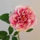 Calypso Artificial Ruffled Rose Pink 70cm - R537 R1
