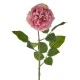 Calypso Artificial Ruffled Rose Pink 70cm - R537 R1