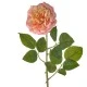 Calypso Artificial Ruffled Rose Peach 70cm - R535 J4