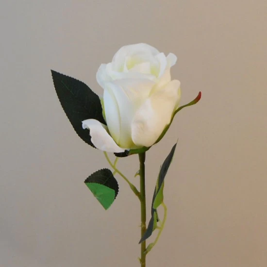Charlotte Artificial Rose Buds Ivory 53cm - R095 