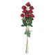 Antique Rose Bundle Red 72cm | Faux Dried Flowers - R415 U1