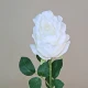 Artificial Rose Cream 62cm - R310 O2