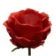 Giant Silk Rosebuds Red 130cm | VM Display Prop - R968
