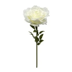 Giant Silk Roses Cream 130cm | VM Display Prop - R966 OFF