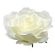 Giant Silk Roses Cream 130cm | VM Display Prop - R966 OFF