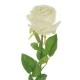 Harrow Artificial Rose Buds Ivory 52cm - R001 P3