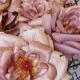 Harvest Moon Artificial Roses Mink 62cm - R184 Q3