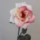 Harvest Moon Artificial Roses Pink and Vanilla Cream 62cm - R183 LL2