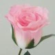 Pink Artificial Rose Buds 57cm - R479 L4
