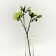 Artificial Old Roses Spray Green Short Stem 41cm - R155 O4
