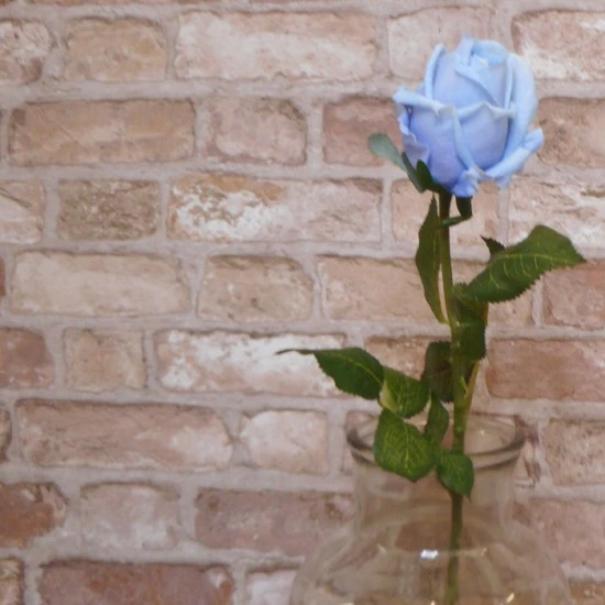 Real Touch Rose Bud Blue 55cm - R456 BX5