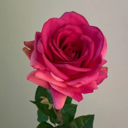 Real Touch Rose Hot Pink 67cm - R050 H3