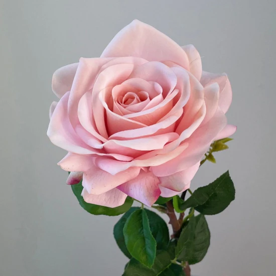 Real Touch Rose Pale Pink 67cm - R007