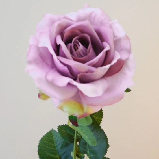 Richmond Artificial Rose Lavender Purple 72cm - R377 J4