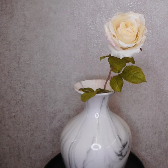 Roses Miss Havisham Cream 64cm - R523 DD3