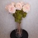 Roses Miss Havisham Pink 64cm - R512 L3