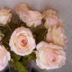Roses Miss Havisham Pink 64cm - R512 L3
