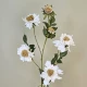 Silk Scabious Flowers Warm Cream 73cm | Artificial Scabiosa - S028 R2