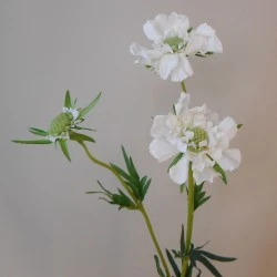 Silk Scabious Flowers White 72cm | Artificial Scabiosa - S110A 