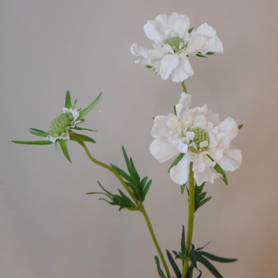 Silk Scabious Flowers White 72cm | Artificial Scabiosa - S110A 