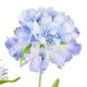 Double Silk Scabious Flowers Blue Purple 76cm | Artificial Scabiosa - S003 KK3