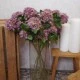 Artificial Sedum Purple 65cm - S078 N2