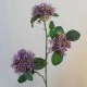Artificial Sedum Purple 65cm - S078 N2