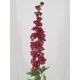 Plum Silk Delphinium or Larkspur 75cm - D024 D4