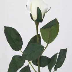 Artificial Bud Roses Cream Ivory 65cm - R008 S3