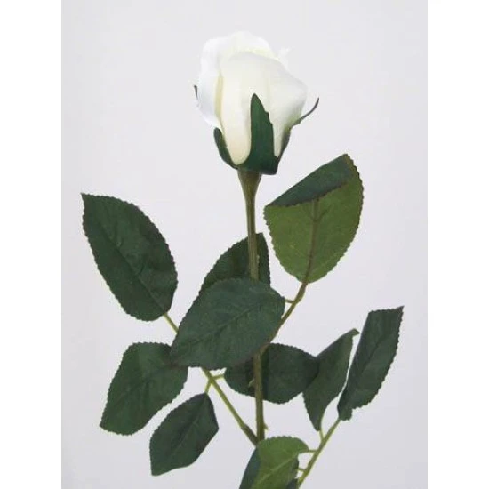 Artificial Bud Roses Cream Ivory 65cm - R008 S3
