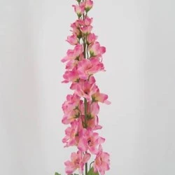 Pale Pink Silk Delphinium or Larkspur 75cm - D054 D4