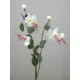 Silk Double Fuchsia Stem Ivory 50cm - F026 H3