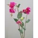 Silk Double Fuchsia Stem Pink 50cm - F025 H4