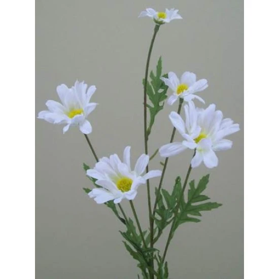 Silk Daisy Stem 69cm - D045 D4