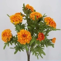 Marigolds