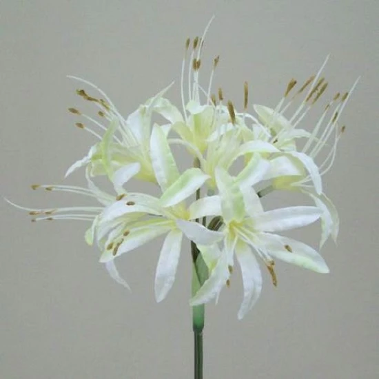 Silk Nerine Lily Cream with a hint of Green 70cm - N005 K3