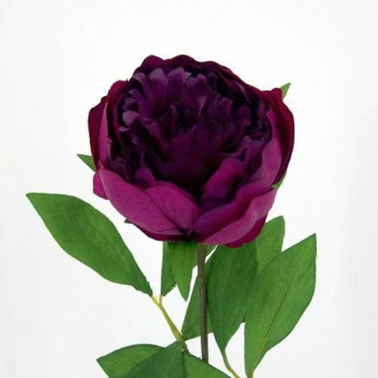 Peony Flowers Magenta 60cm - P002B K3