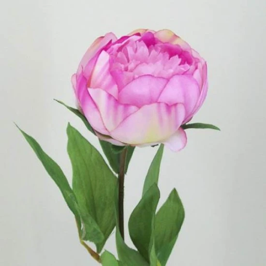 Peony Flowers Antique Pink 60cm - P002A  K3