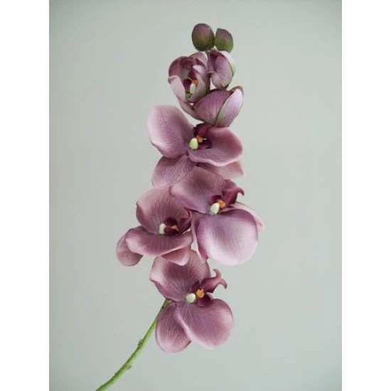 Vintage Phalaenopsis Orchid Purple 81cm - O045 K4