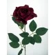 Premium Roses Burgundy 70cm - R014D J4