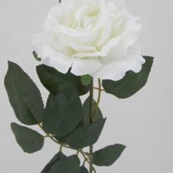 Premium Roses White 70cm - R014B M3