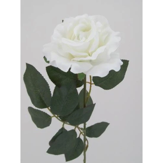 Premium Roses White 70cm - R014B M3