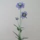 Silk Scabious Flowers Blue 64cm | Artificial Scabiosa - S058 R2