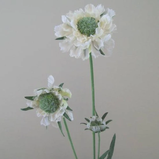 Silk Scabious Flowers Cream 64cm | Artificial Scabiosa - S060 U4